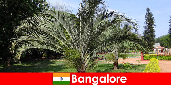 Bangalore dễ chịu khí hậu quanh năm cho mọi người nước ngoài có giá trị một chuyến đi