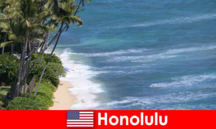 Điểm tham quan hàng đầu Honolulu với trải nghiệm gia đình
