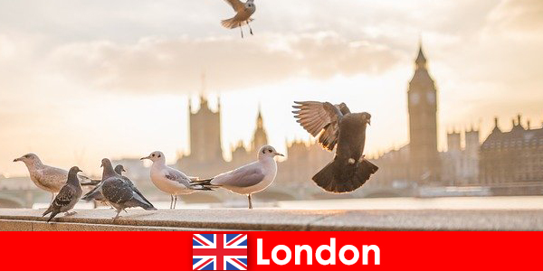 Những địa điểm nổi tiếng ở London và các khách quốc tế