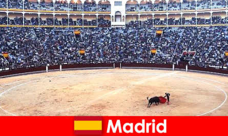 Lễ hội truyền thống ở Madrid ngạc nhiên mỗi người lạ