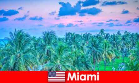 Miami thiên nhiên tuyệt đẹp với vùng hoang dã nhiệt đới lớn