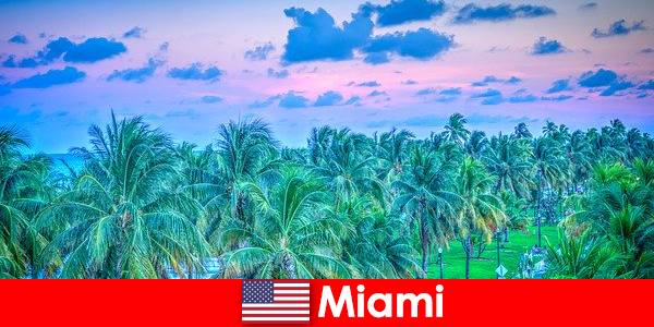 Miami thiên nhiên tuyệt đẹp với vùng hoang dã nhiệt đới lớn