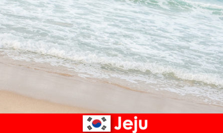 Jeju với cát mịn và nước trong v hút là nơi lý tưởng cho các kỳ nghỉ gia đình trên bãi biển