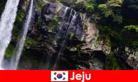 Jeju ở Hàn Quốc hòn đảo núi lửa cận nhiệt đới với những khu rừng tuyệt đẹp cho người nước ngoài