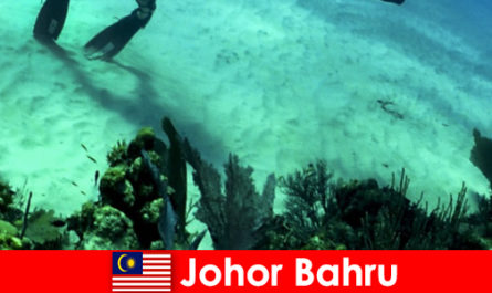 Hoạt động phiêu lưu ở Johor Bahru Lặn, leo núi, đi bộ đường dài và nhiều hơn nữa
