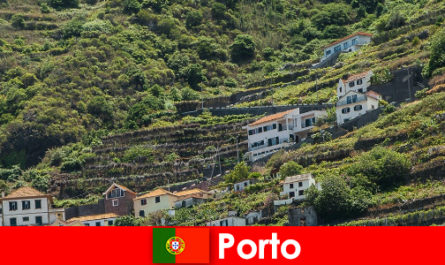 Điểm đến nghỉ dưỡng Porto cho những người yêu thích rượu vang từ khắp nơi trên thế giới