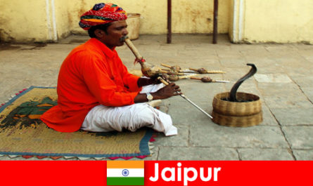 Ở Jaipur Ấn Độ, du khách trải nghiệm các điệu nhảy rắn và giải trí trên đường phố nhộn nhịp