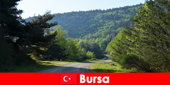 Bursa Thổ Nhĩ Kỳ cung cấp các chuyến du ngoạn có tổ chức cho khách du lịch đi bộ đường dài trong thiên nhiên tươi đẹp