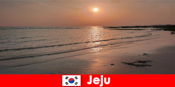 Điểm đến mơ ước cho đám cưới và khách mời từ nước ngoài ở Jeju Hàn Quốc