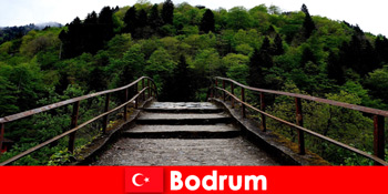 Nhiệt độ ôn hòa là thời điểm tốt nhất để đi bộ đường dài cho khách du lịch ở Bodrum Thổ Nhĩ Kỳ