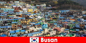 Chuyến đi nước ngoài đến Busan Hàn Quốc với văn hóa ẩm thực trên mọi ngóc ngách với ít tiền
