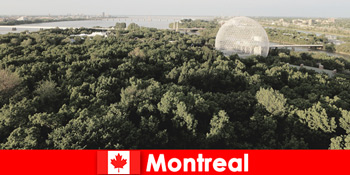 Du khách ba lô khám phá thiên nhiên hoang dã ở Montreal Canada bằng cách đi bộ
