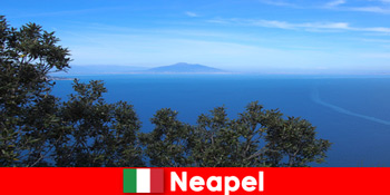 Người lạ yêu thích joie de vivre và lòng hiếu khách ở Naples Ý