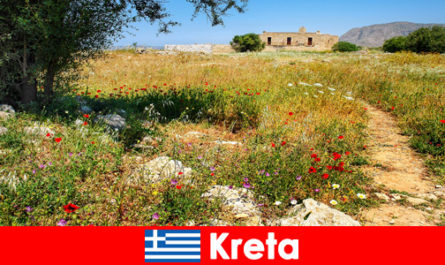 Thực phẩm Địa Trung Hải lành mạnh với trải nghiệm thiên nhiên đang chờ khách du lịch ở Crete Hy Lạp