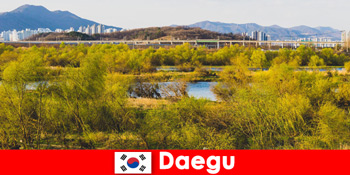 Lời khuyên du lịch độc lập hàng đầu ở Daegu, Hàn Quốc