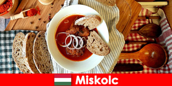 Du khách thưởng thức các địa phương và văn hóa ở Miskolc Hungary