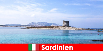 Chuyến đi ẩm thực đến Sardinia để khám phá ẩm thực Ý