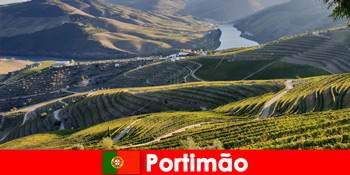 Du khách thích nếm thử rượu vang và các món ngon trên núi Portimão Bồ Đào Nha