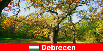 Kỳ nghỉ spa cho người về hưu ở Debrecen Hungary với rất nhiều trái tim