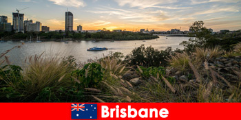 Brisbane Australia cung cấp nhiều khả năng cho ví phù hợp