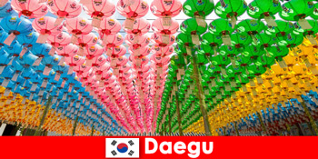 Điểm đến cùng gia đình đến Daegu Hàn Quốc Trải nghiệm đa dạng