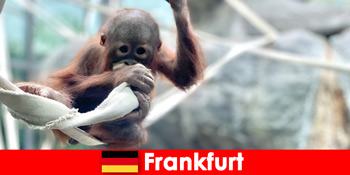 Gia đình Frankfurt đi chơi trong vườn thú lâu đời thứ hai ở Đức