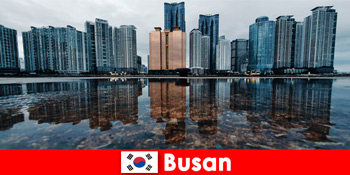 Du lịch không tốn kém và các hoạt động tuyệt vời ở Busan Hàn Quốc